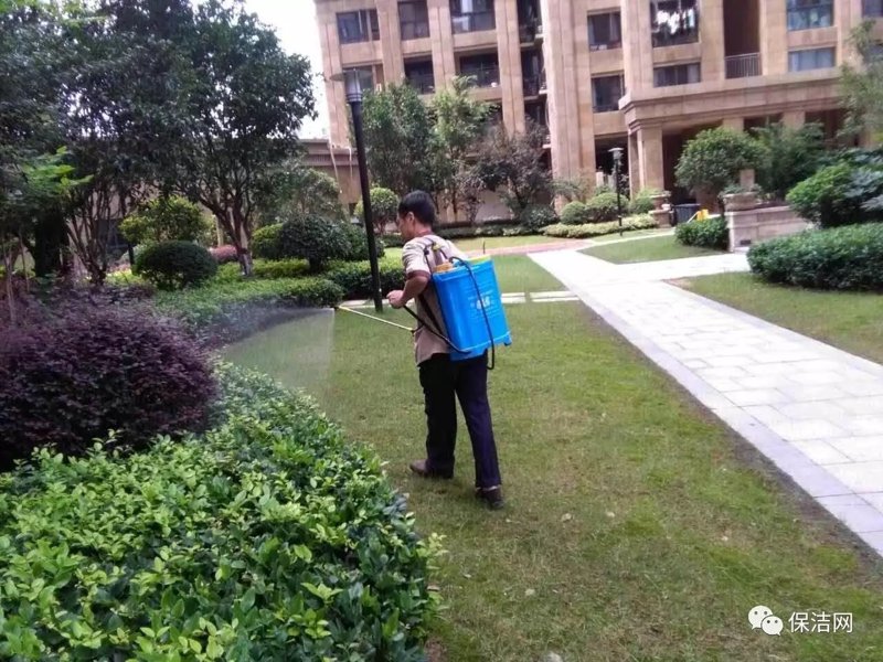 物业行业关注：滨州物业协会动态解析